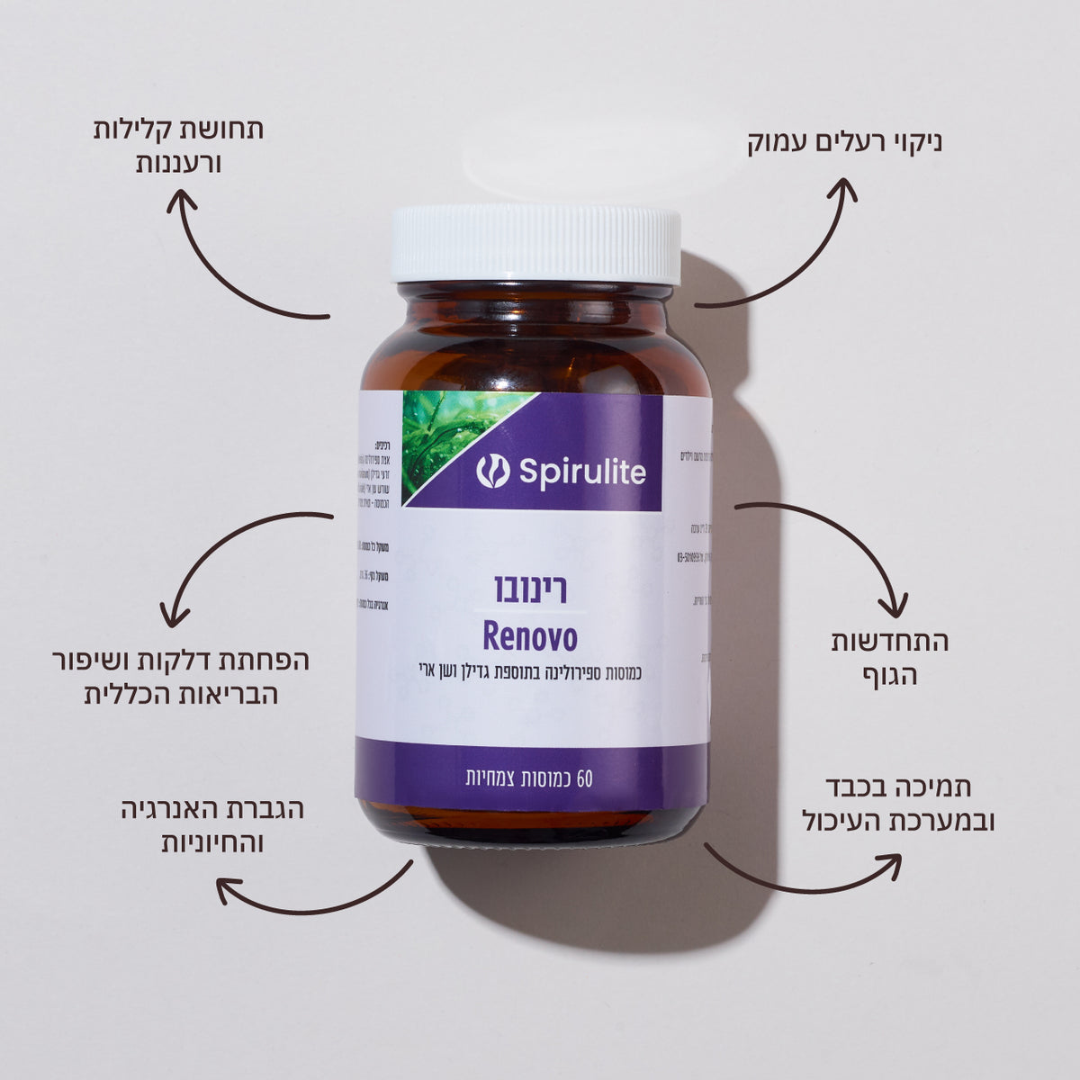 רינבו