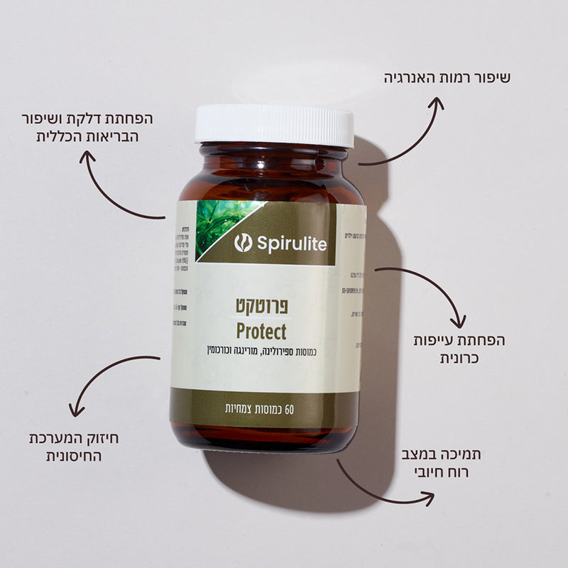 פרוטקט